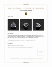Jewelry Appraisal