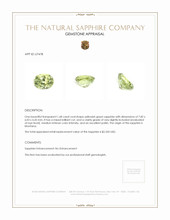 1.68 Ct. Yellowish Green Sapphire from Montana Appraisal
