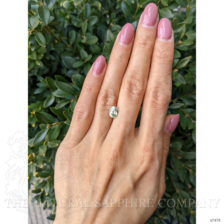 1.68 Ct. Yellowish Green Sapphire from Montana