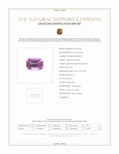 Jewelry Scan Report