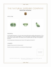 Jewelry Appraisal