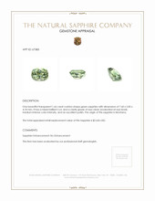 Jewelry Appraisal