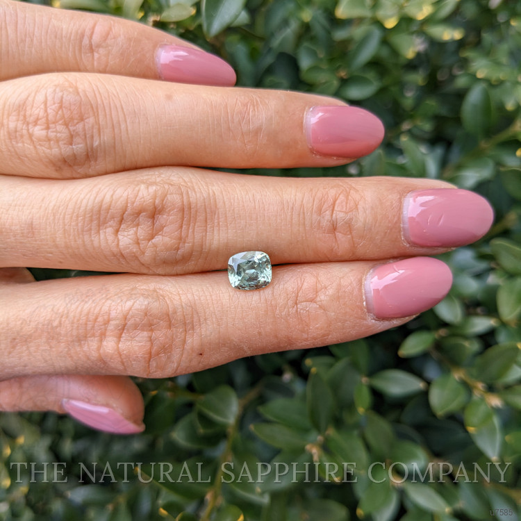 1.59 Ct. Yellowish Green Sapphire from Montana