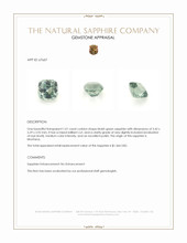 Jewelry Appraisal