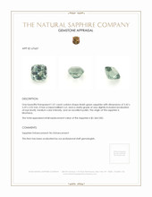 Jewelry Appraisal