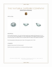 Jewelry Appraisal
