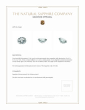 Jewelry Appraisal