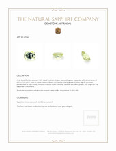 Jewelry Appraisal