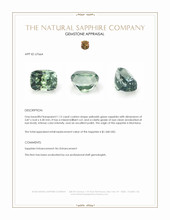 Jewelry Appraisal