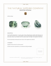 Jewelry Appraisal