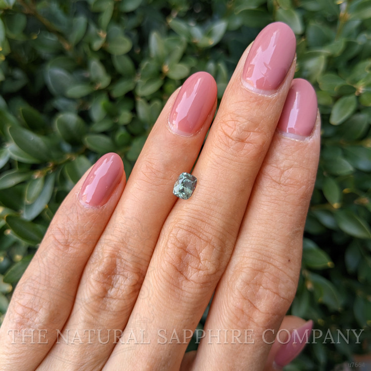 1.12 Ct. Yellowish Green Sapphire from Montana