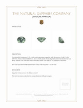 Jewelry Appraisal