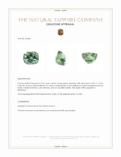 2.78 Ct. Green Sapphire from Montana Appraisal