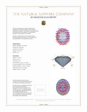 Jewelry 3 D Scan Report