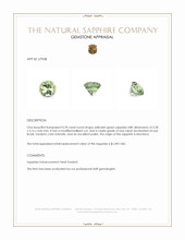 Jewelry Appraisal