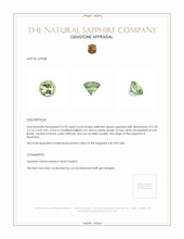 0.78 Ct. Yellowish Green Sapphire from Montana Appraisal