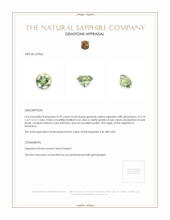 Jewelry Appraisal