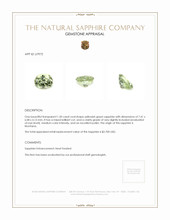 Jewelry Appraisal