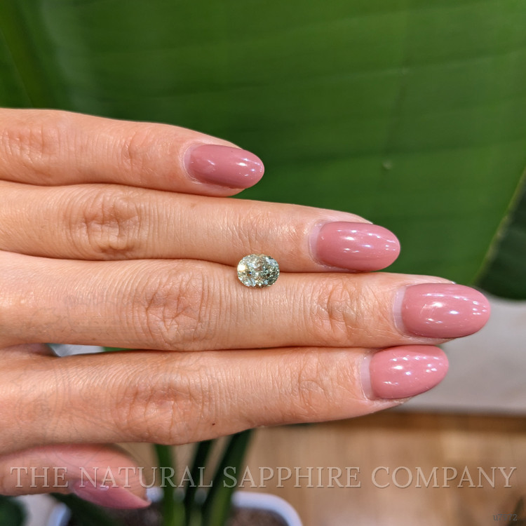 1.50 Ct. Yellowish Green Sapphire from Montana