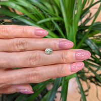 1.50 Ct. Yellowish Green Sapphire from Montana Life Style