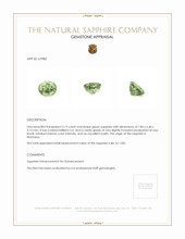 Jewelry Appraisal