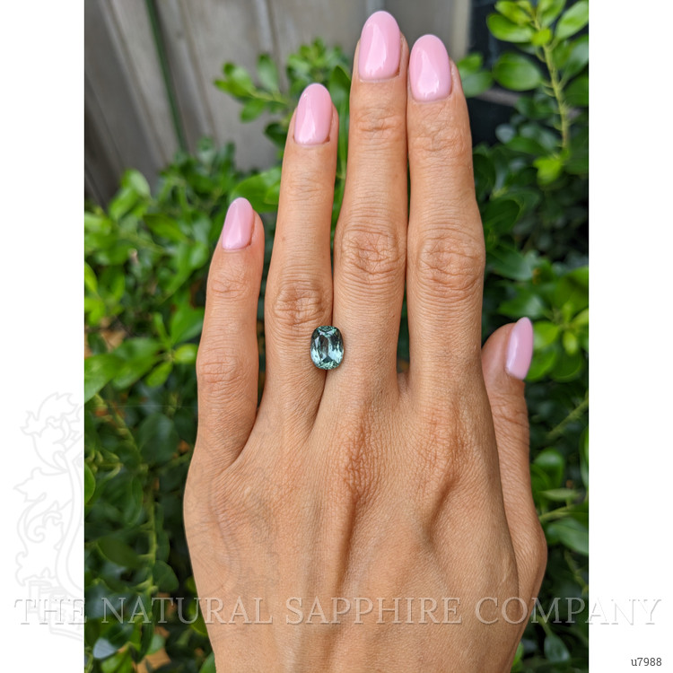 3.64 Ct. Green Sapphire from Montana