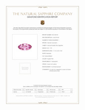 Jewelry Scan Report