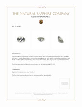 Jewelry Appraisal