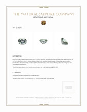 Jewelry Appraisal