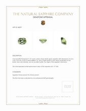 Jewelry Appraisal