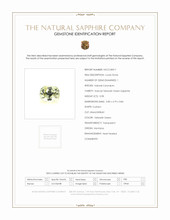 Jewelry Scan Report