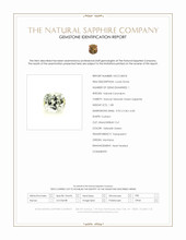 Jewelry Scan Report