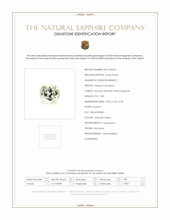 Jewelry Scan Report