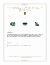Jewelry Appraisal