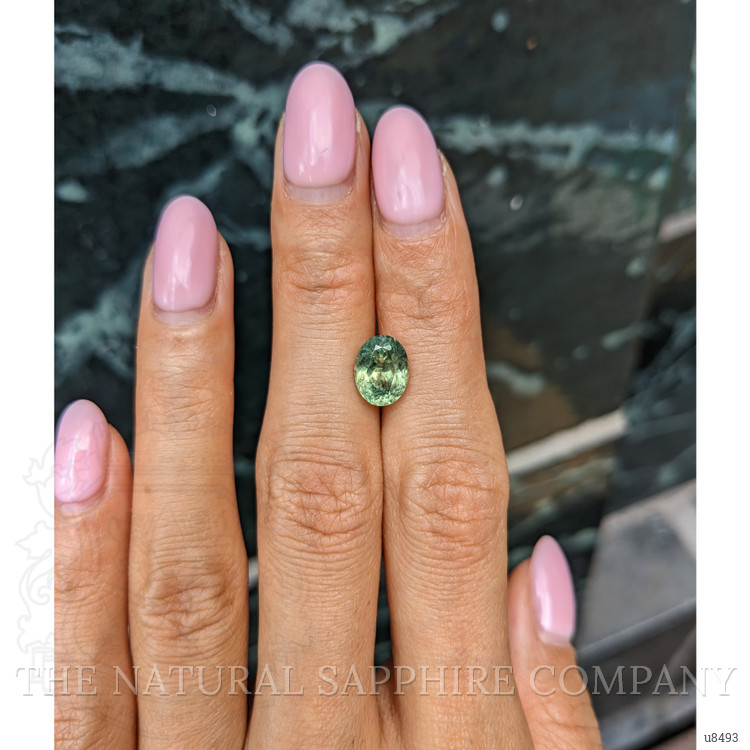 2.84 Ct. Yellowish Green Sapphire from Montana
