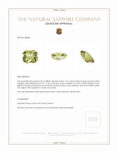 Jewelry Appraisal