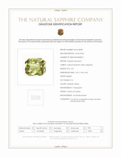 Jewelry Scan Report