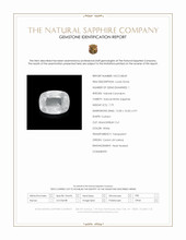 Jewelry Scan Report