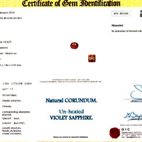 Jewelry Scan Report