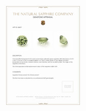Jewelry Appraisal