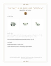 Jewelry Appraisal