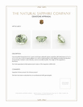 Jewelry Appraisal