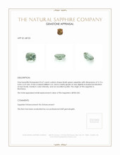 Jewelry Appraisal