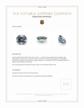 Jewelry Appraisal