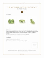 0.68 Ct. Yellowish Green Sapphire from Montana Appraisal