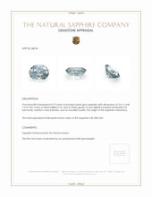 Jewelry Appraisal