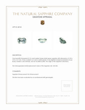 Jewelry Appraisal