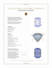 Jewelry 3 D Scan Report