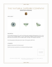 Jewelry Appraisal
