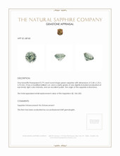 Jewelry Appraisal